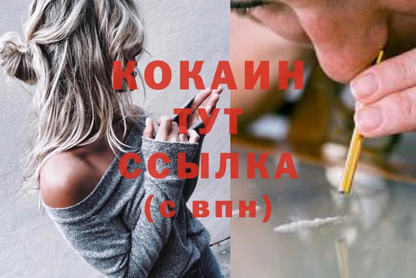 ГАЛЛЮЦИНОГЕННЫЕ ГРИБЫ Заволжск