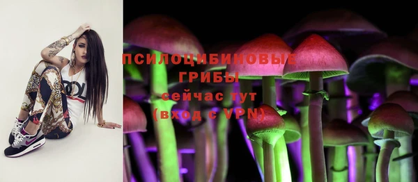 твердый Дмитриев