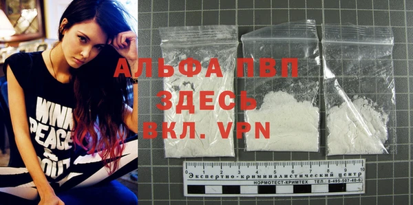 твердый Дмитриев