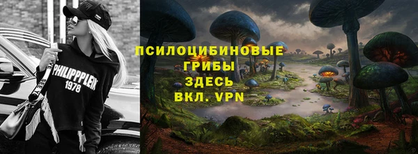 ГАЛЛЮЦИНОГЕННЫЕ ГРИБЫ Заволжск