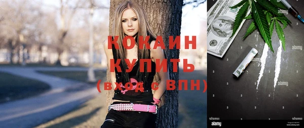 молекула духа Гусев